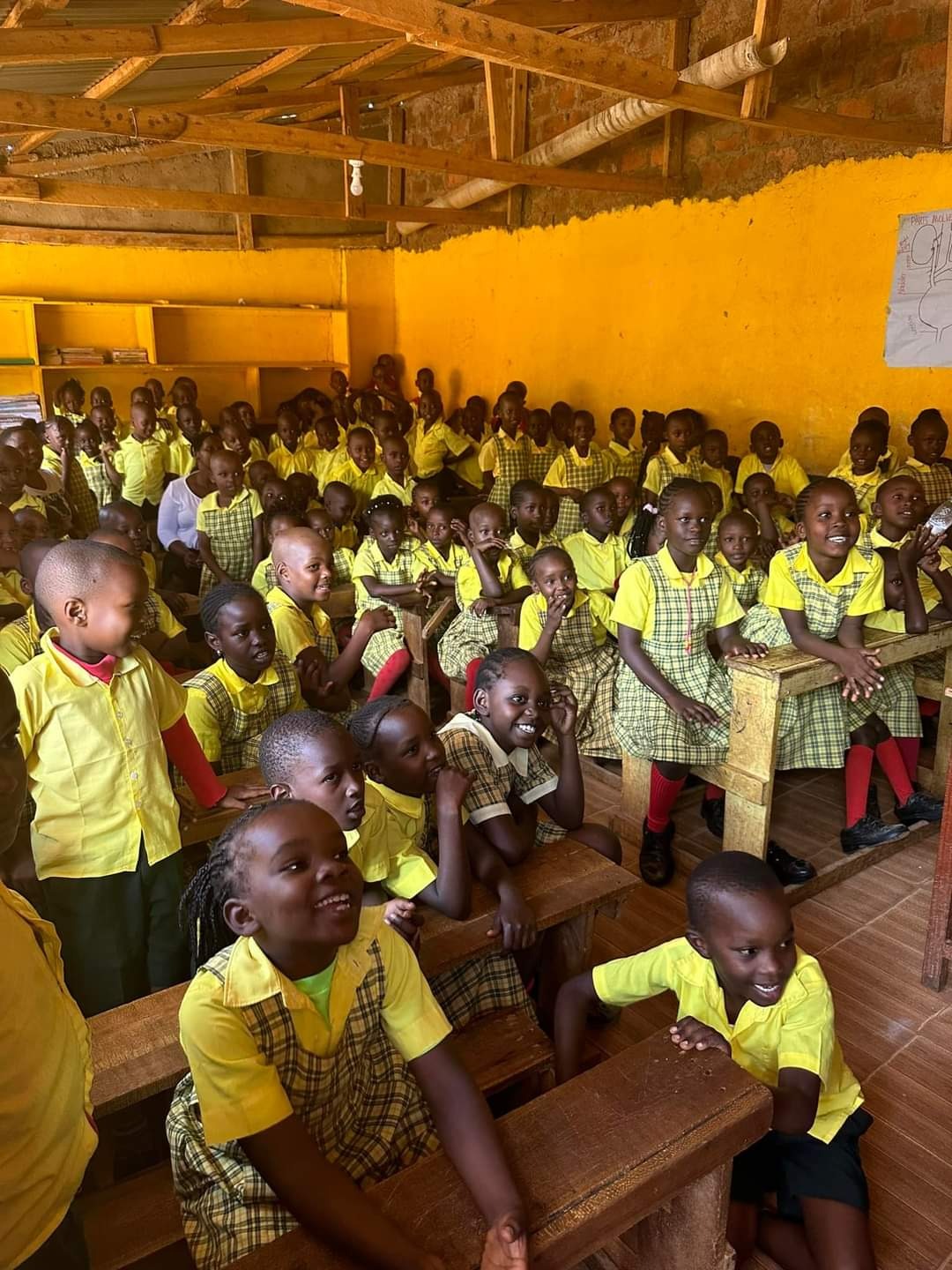 Classroom Activity